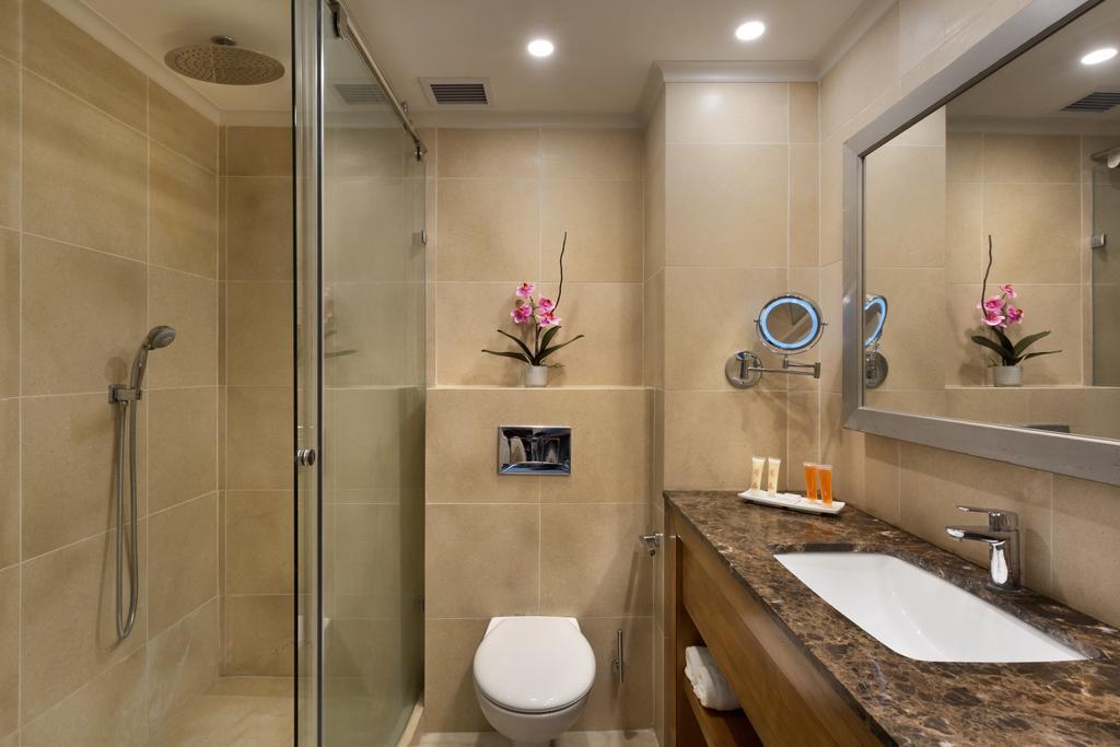 Ye'Arim Hotel マアレ・ハッカミーシャ 部屋 写真